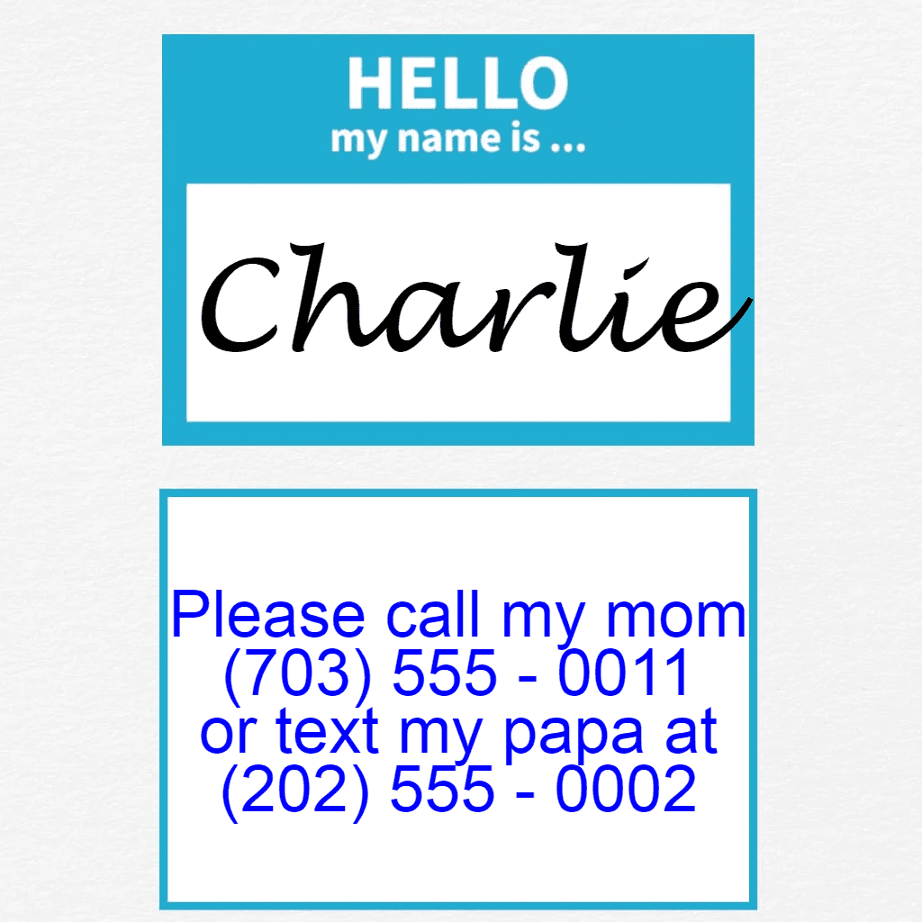 Blue Hello Dog Tag with Name
