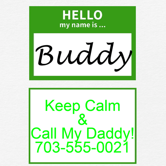 Green Hello Dog Tag with Name