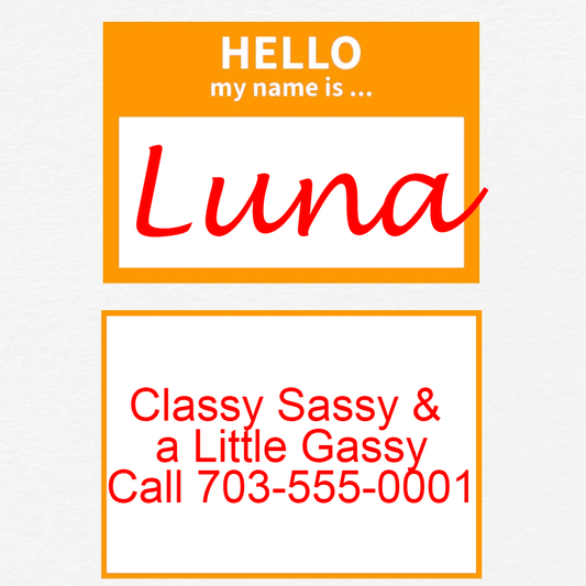Orange Hello Dog Tags with Name