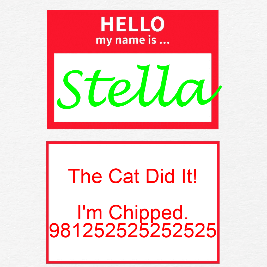 Red Hello Dog Tag with Name