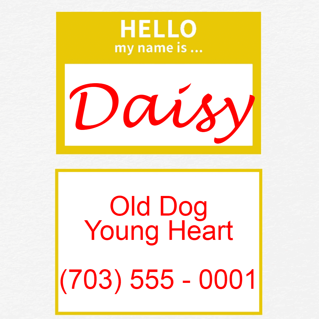 Yellow Hello Dog Tag with Name