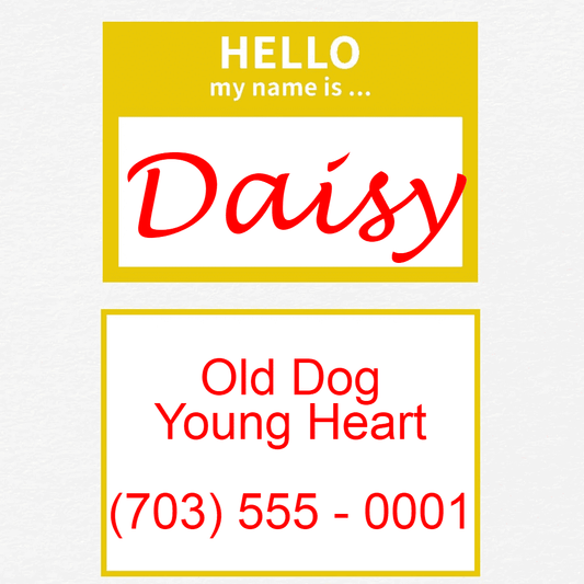 Yellow Hello Dog Tag with Name