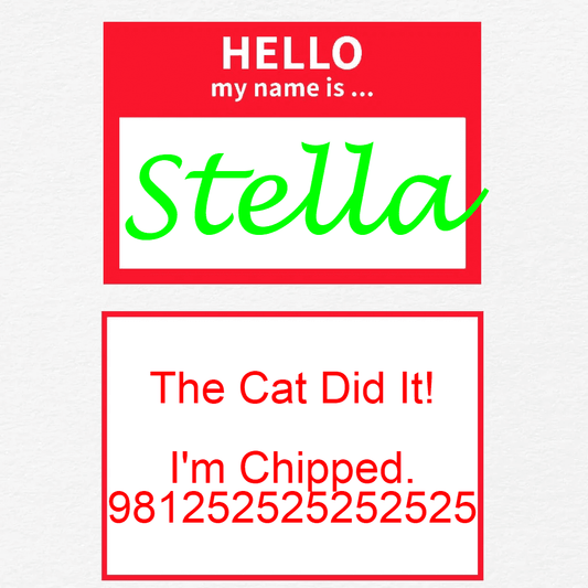 Red Hello Dog Tag with Name
